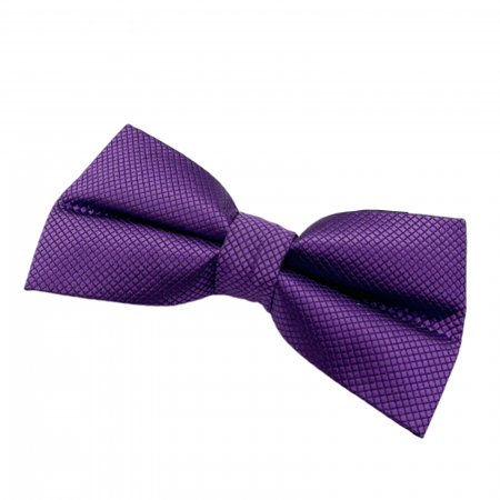 ACCESORII VESTIMENTARE COPII - Papion mov pentru copii, OXFORD