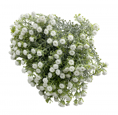 Flori artificiale EVE, Alb, 30cm [1]