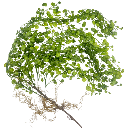 Planta curgatoare artificiala OLIVER, 90cm [1]