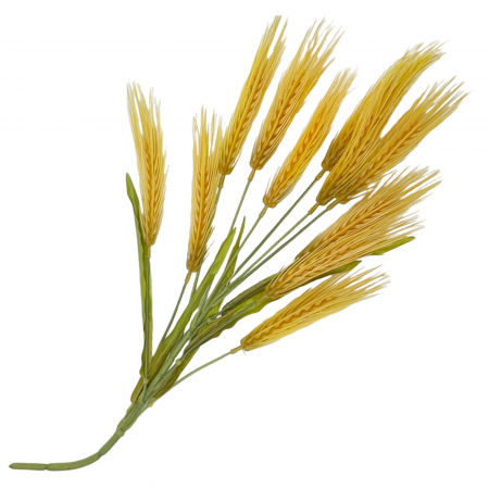 Spice decorative artificiale MARISOL, Portocaliu, 45cm [3]