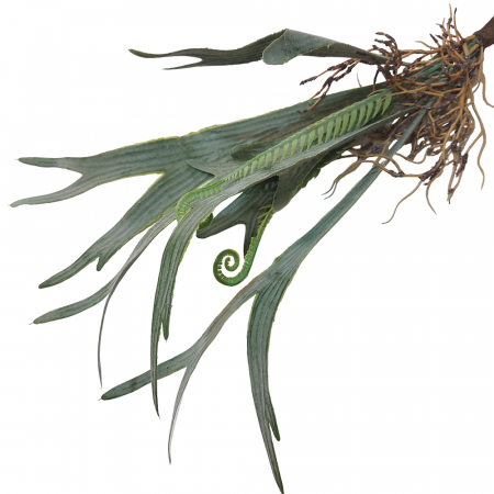 Iarba artificiala EXOTIC, 40cm [2]
