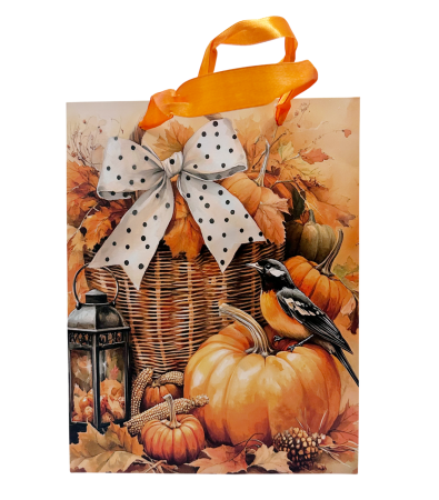 Felicitari, Pungi & Cutii Cadouri - Punga de cadou PUMPKIN, 18x23 cm