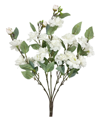 Ramură decorativă cu flori albe [1]