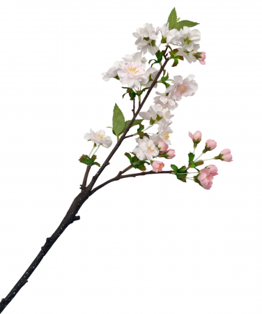 Flori de Cires artificiale BEAUTY, Alb, 45cm [1]