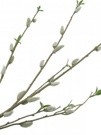 Ramura decorativa cu Mugurasi SPRING, 100cm [2]
