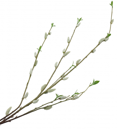 Flori Artificiale - Ramura decorativa cu Mugurasi SPRING, 100cm