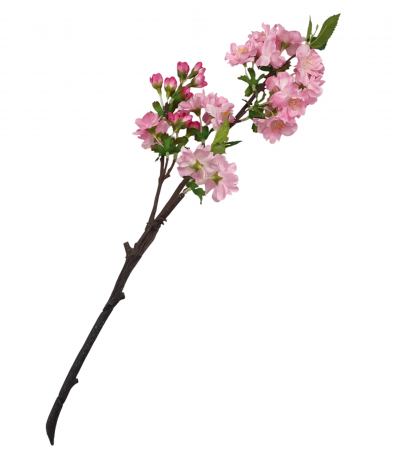 Ramura cu Flori artificiale BEAUTY, Roz, 45cm [1]
