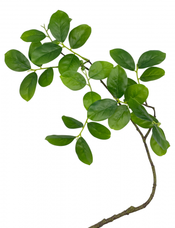 Flori Artificiale - Ramura cu frunze artificiale GRANT, Verde, 70cm