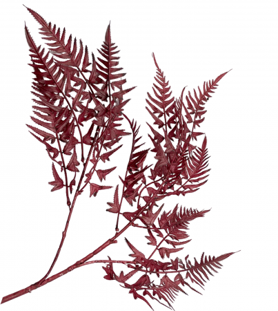 DE TOAMNA - Feriga artificiala BEAUTY, Burgundy, 100cm