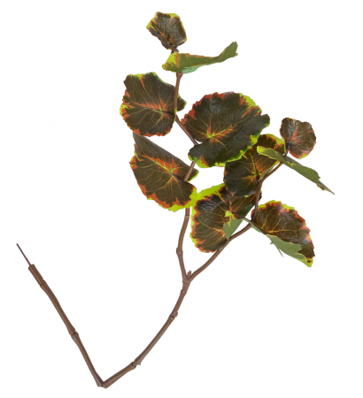 DE TOAMNA - Creanga cu frunze artificiale SHAWN, 70cm
