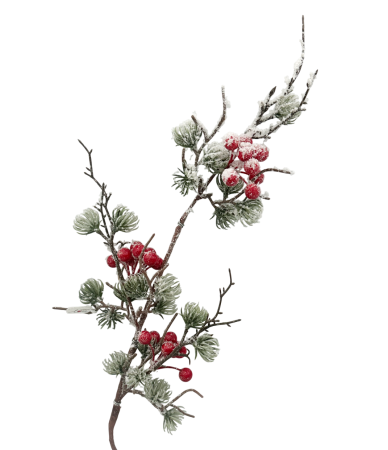 Ramură decorativă cu bobițe roșii  si ace verzi ninse BRIGHT, 70cm [1]