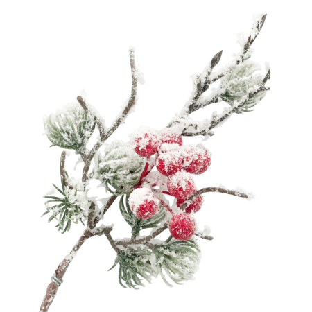 Ramură decorativă cu bobițe roșii  si ace verzi ninse BRIGHT, 70cm [2]
