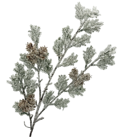 Ramură decorativă cu conuri și efect de zăpadă FREEZY, 60cm [1]