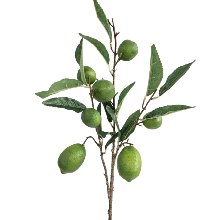 Decor De Vara - Creanga decorativa cu frunze si lime LIMETTE