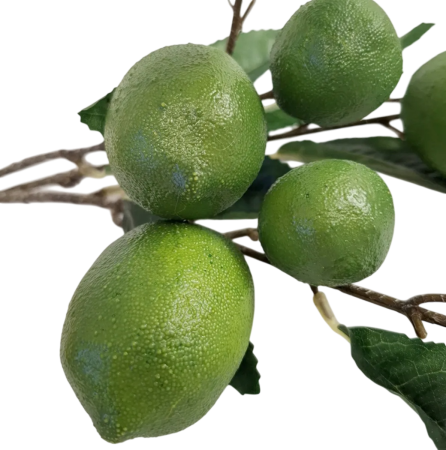 Creanga decorativa cu frunze si lime LIMETTE [1]