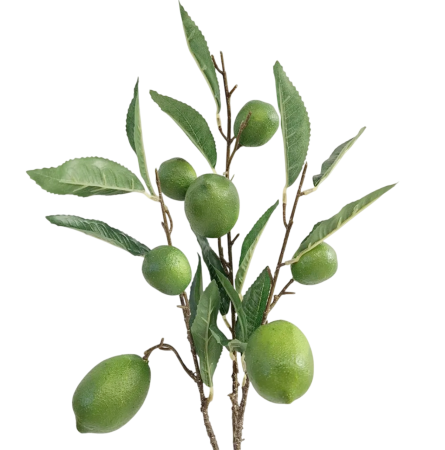 Creanga decorativa cu frunze si lime LIMETTE [2]