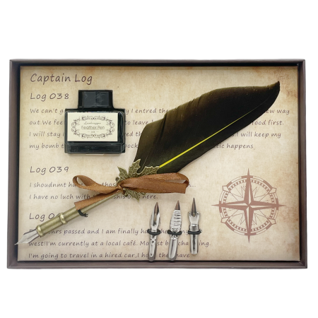 Agende & Articole De Birou - Set caligrafie AMEDEO, Pana galbena