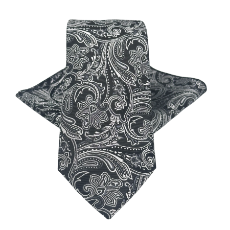 MODA & ACCESORII - Set Cravată și Batista Paisley Negru & Argintiu – NOAH
