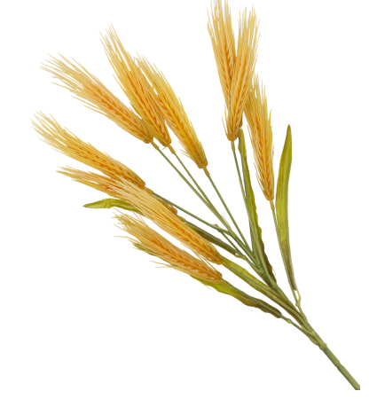 DE TOAMNA - Spice decorative artificiale MARISOL, Portocaliu, 45cm