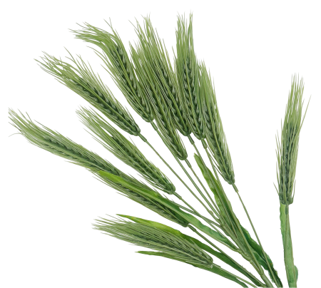 Spice decorative artificiale MARISOL, Verde, 45cm [1]