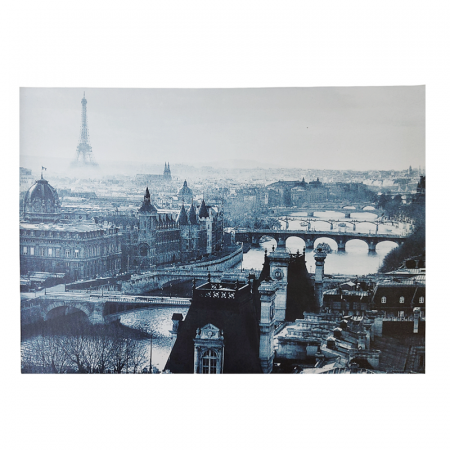 Obiecte Decorative - Tablou BEAUTE DE PARIS, 35x50cm