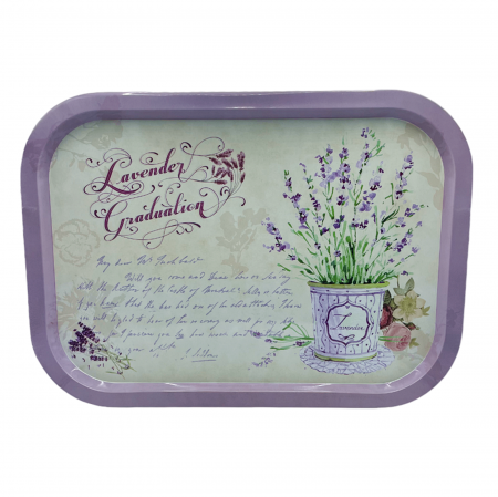 Servirea & Pregatirea Mesei - Tava servire Provence, 40x29cm, Metal