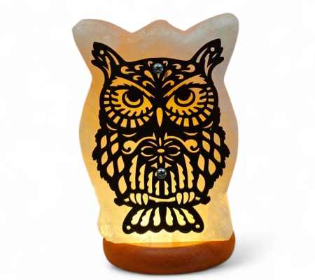 Veioze & Lampi - Veioza din sare Himalaya OWL LIGHT - cu bufnita - 13 cm