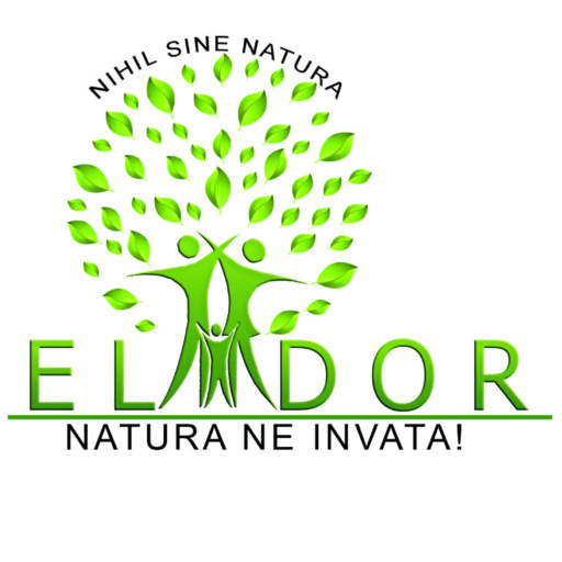 Elidor