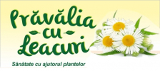 www.pravaliaculeacuri.ro