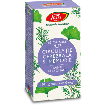 Circulație cerebrală și memorie (N172) [1]
