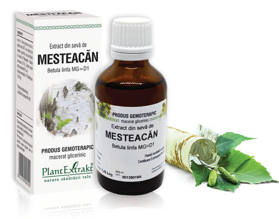 Extract din sevă de Mesteacăn - Betula linfa MG=D1, 50 ml [1]