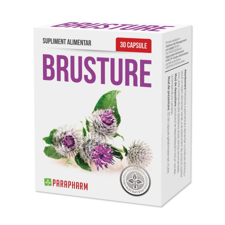 Brusture [1]