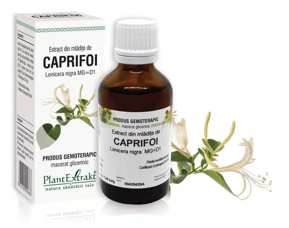 Lichidare stoc - Extract din mlădiţe de Caprifoi negru - Lonicera nigra MG=D1, 50 ml