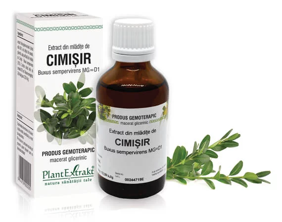Lichidare stoc - Extract din mlădiţe de Cimișir - Buxus sempervirens MG=D1, 50 ml