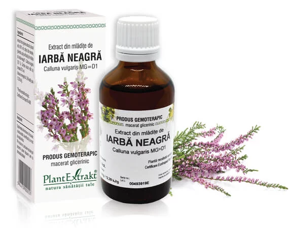 Lichidare stoc - Extract din mlădiţe de Iarbă neagră - Calluna vulgaris MG=D1, 50 ml