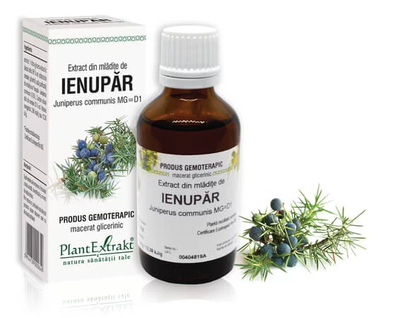 Lichidare stoc - Extract din mlădiţe de Ienupăr - Juniperus communis MG=D1, 50 ml