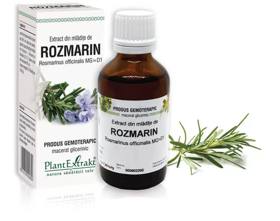 Lichidare stoc - Extract din mlădiţe de Rozmarin - Rosmarinus officinalis, 50 ml