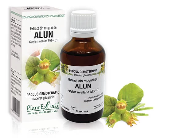 Lichidare stoc - Extract din muguri de Alun - Corylus avellana MG=D1, 50 ml