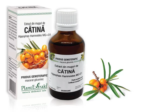 Lichidare stoc - Extract din muguri de Cătină albă - Hippophae rhamnoides MG=D1, 50 ml