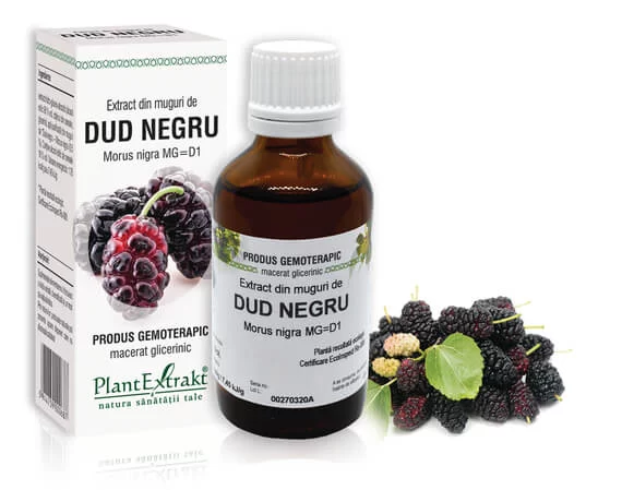 Lichidare stoc - Extract din muguri de Dud negru - Morus nigra MG=D1, 50 ml