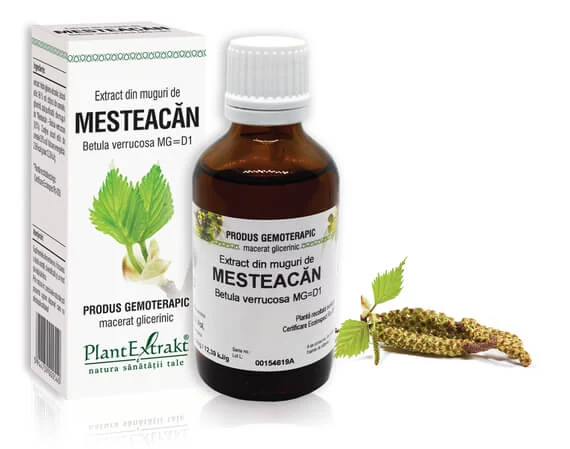 Lichidare stoc - Extract din muguri de Mesteacăn - Betula verrucosa MG=D1, 50 ml