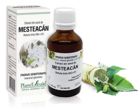 Lichidare stoc - Extract din sevă de Mesteacăn - Betula linfa MG=D1, 50 ml