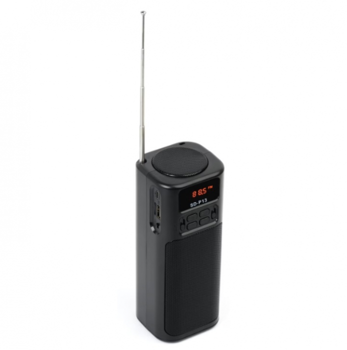 Radio Portabil Solar cu Acumulator si Microfon Integrat [3]