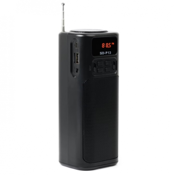 Radio Portabil Solar cu Acumulator si Microfon Integrat [2]