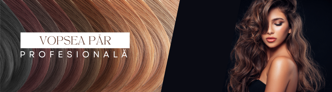 Vopsea Par Profesionala