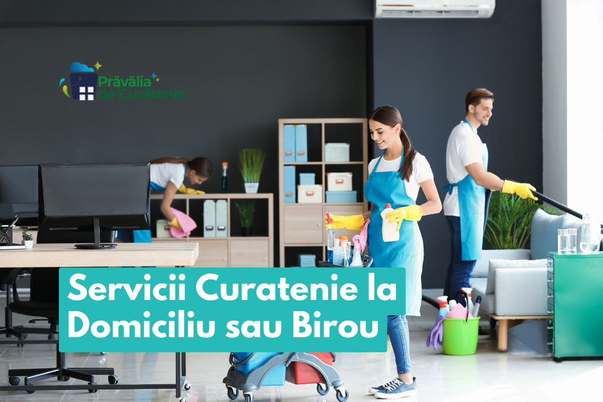 Pravalia de Curățenie - Transformă-ți Spațiul într-o Oază de Prospătime și Ordine!