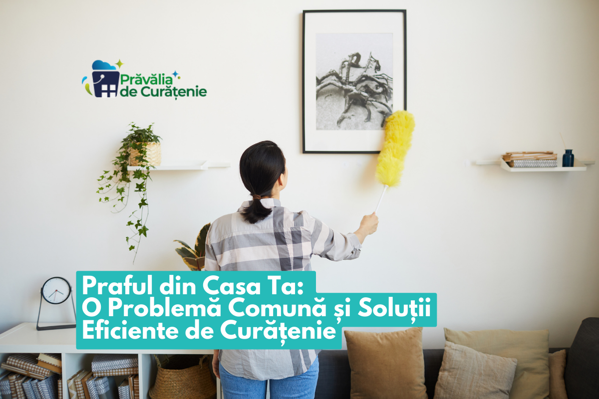 Praful din Casa Ta: O Problemă Comună și Soluții Eficiente de Curățenie