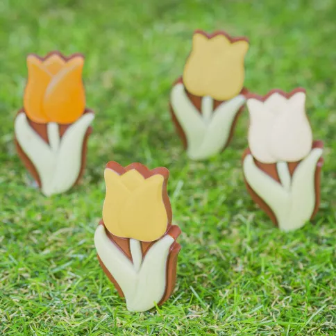 ChocoFlower Tulip [3]