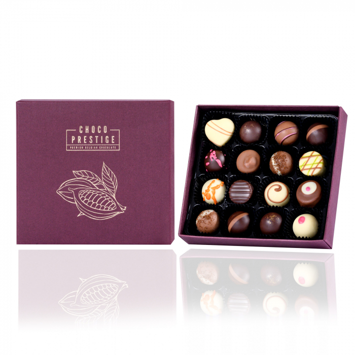 Burgundy Dream 16 [1]