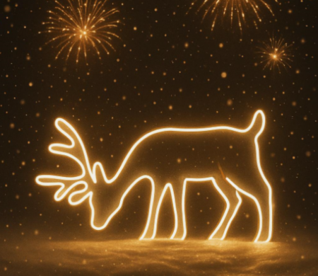 Decorațiune LED tip neon – Ren de Crăciun, 100 × 52 cm, 8 moduri de iluminare, alb cald, IP44 [2]